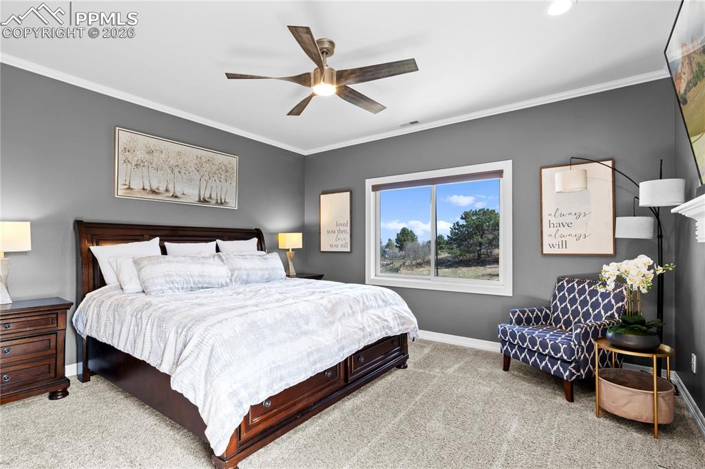 1520 Old Antlers Way Monument CO 80132