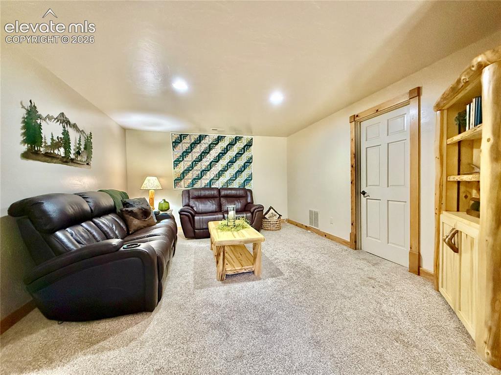 35 Meadow Creek Road Divide CO 80814