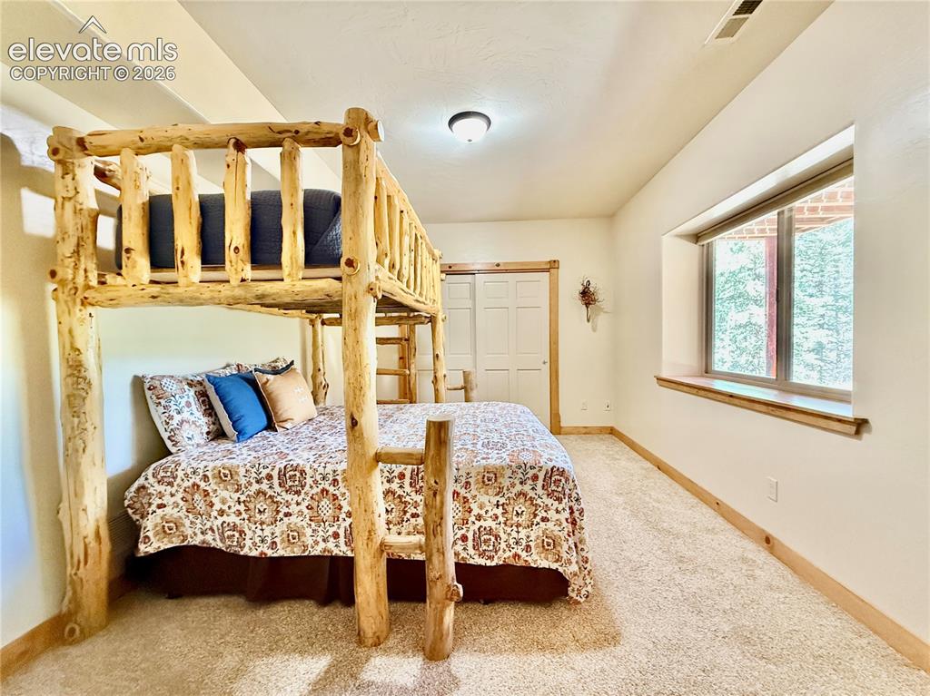 35 Meadow Creek Road Divide CO 80814