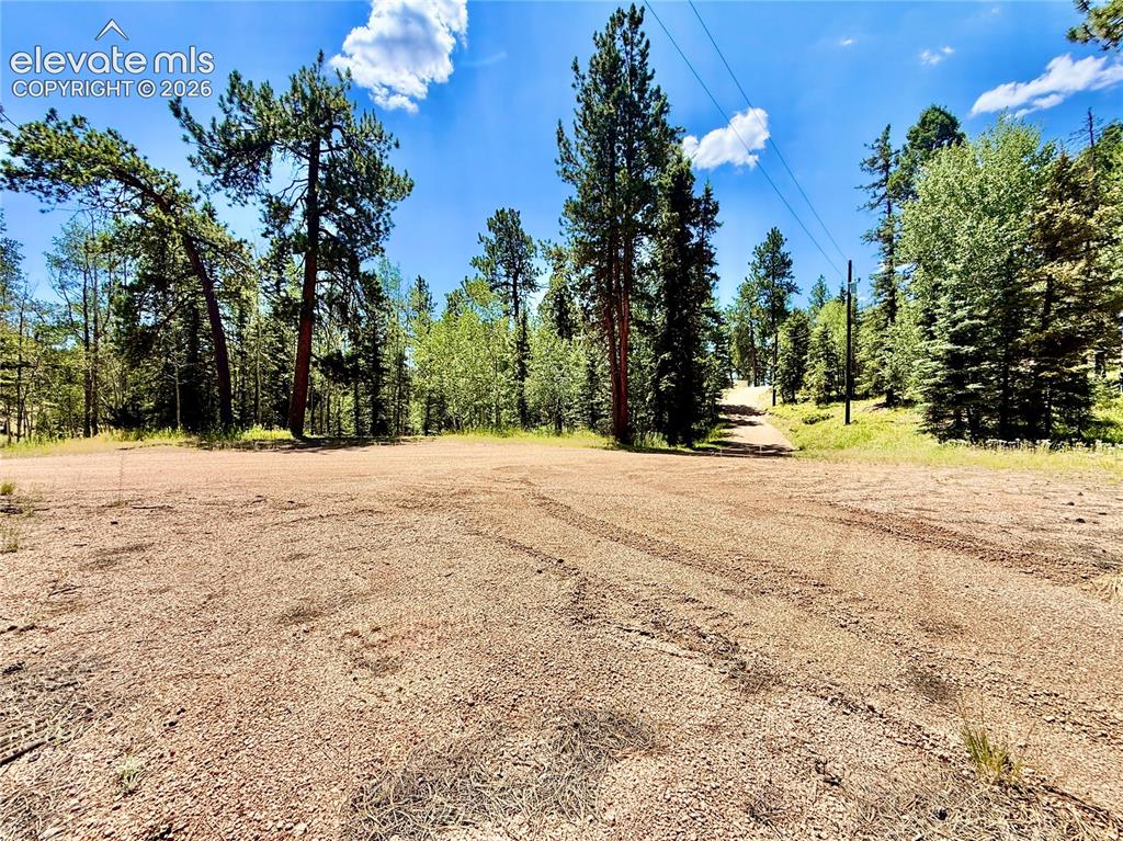 35 Meadow Creek Road Divide CO 80814