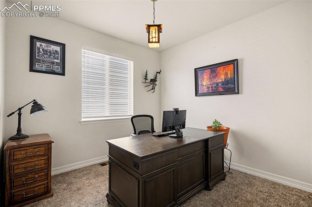 6142 Leilani Lane Castle Rock CO 80108