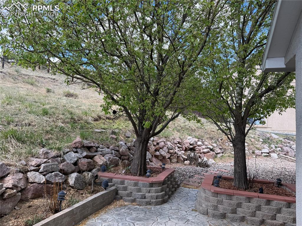 2315 Rossmere Street Colorado Springs CO 80919