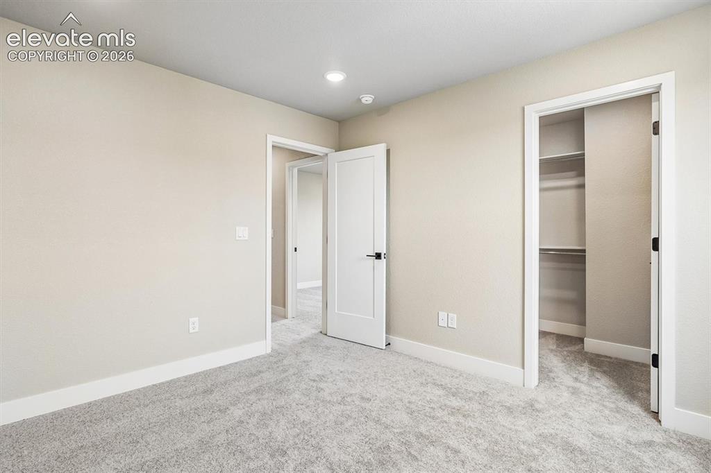 3071 Curly Grove Colorado Springs CO 80922