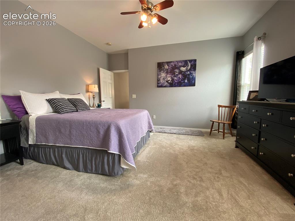 7882 Tango Lane Colorado Springs CO 80923