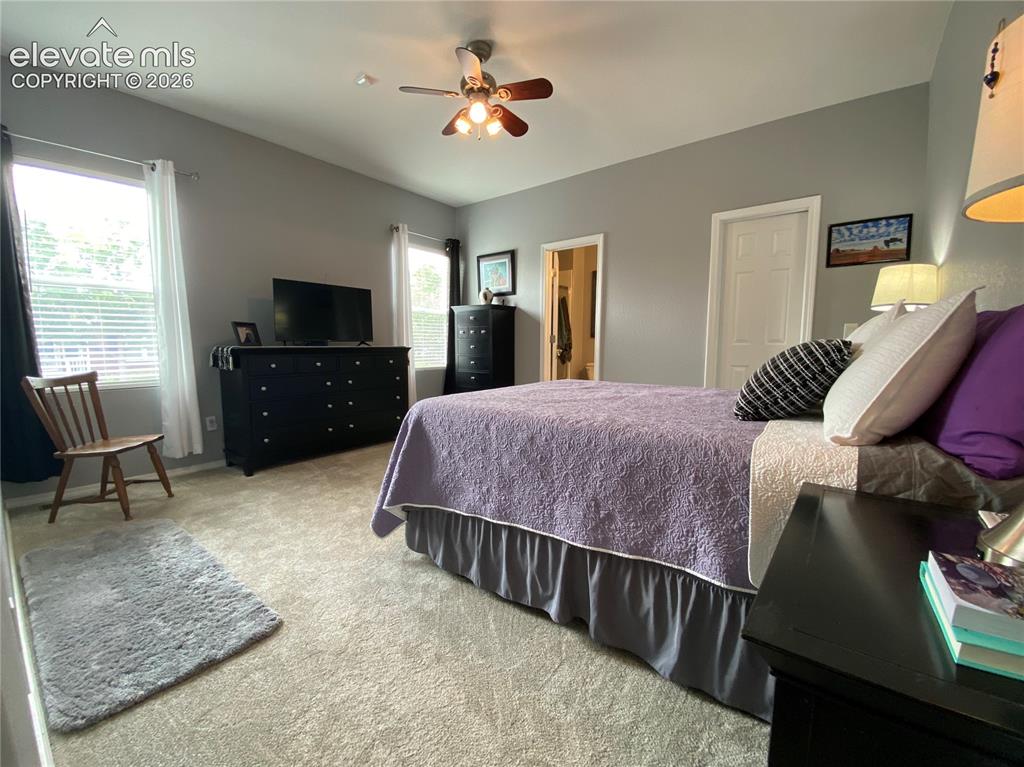 7882 Tango Lane Colorado Springs CO 80923