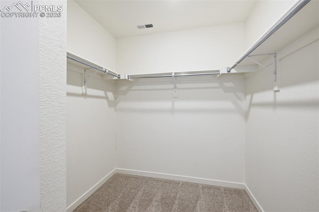 16143 Mountain Flax Drive Monument CO 80132