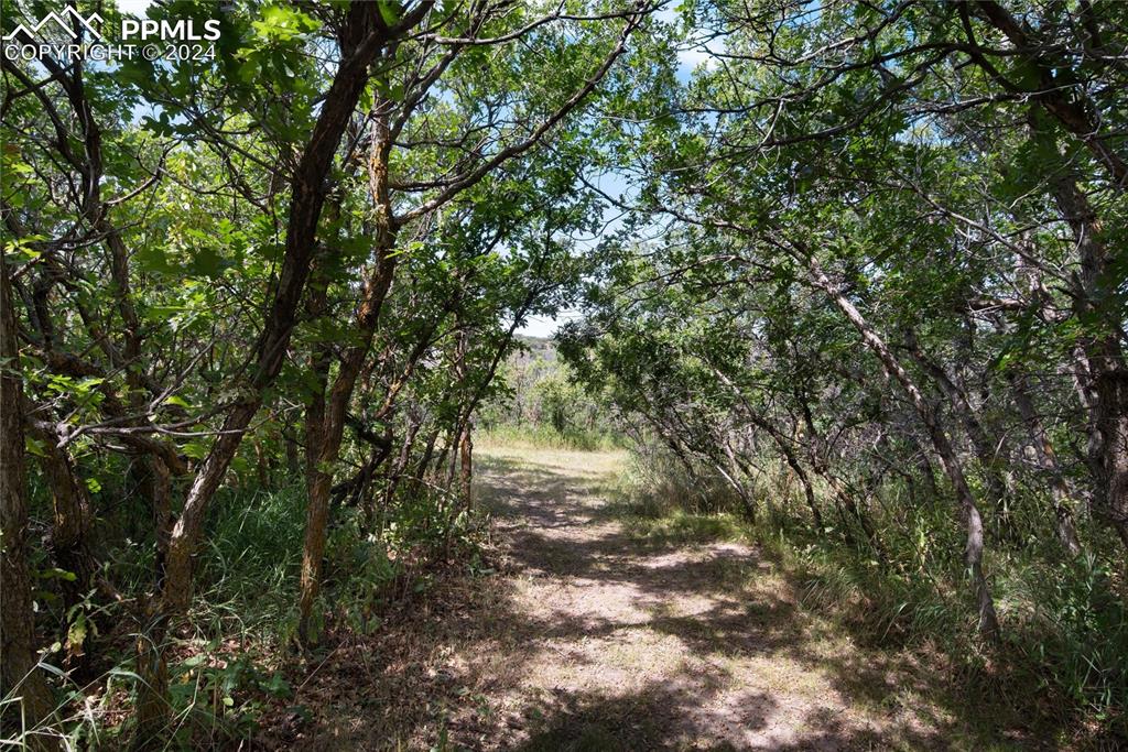 3823 Castle Butte Drive Castle Rock CO 80109