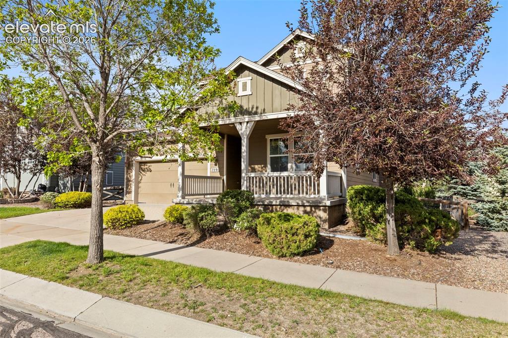 7891 Silver Birch Drive Colorado Springs CO 80927