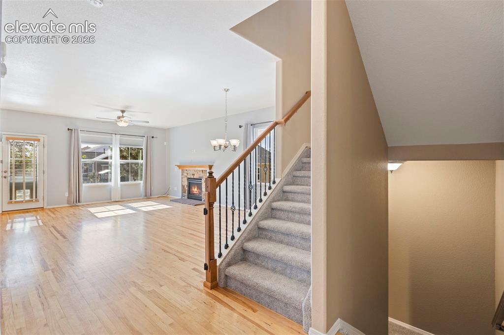 7891 Silver Birch Drive Colorado Springs CO 80927