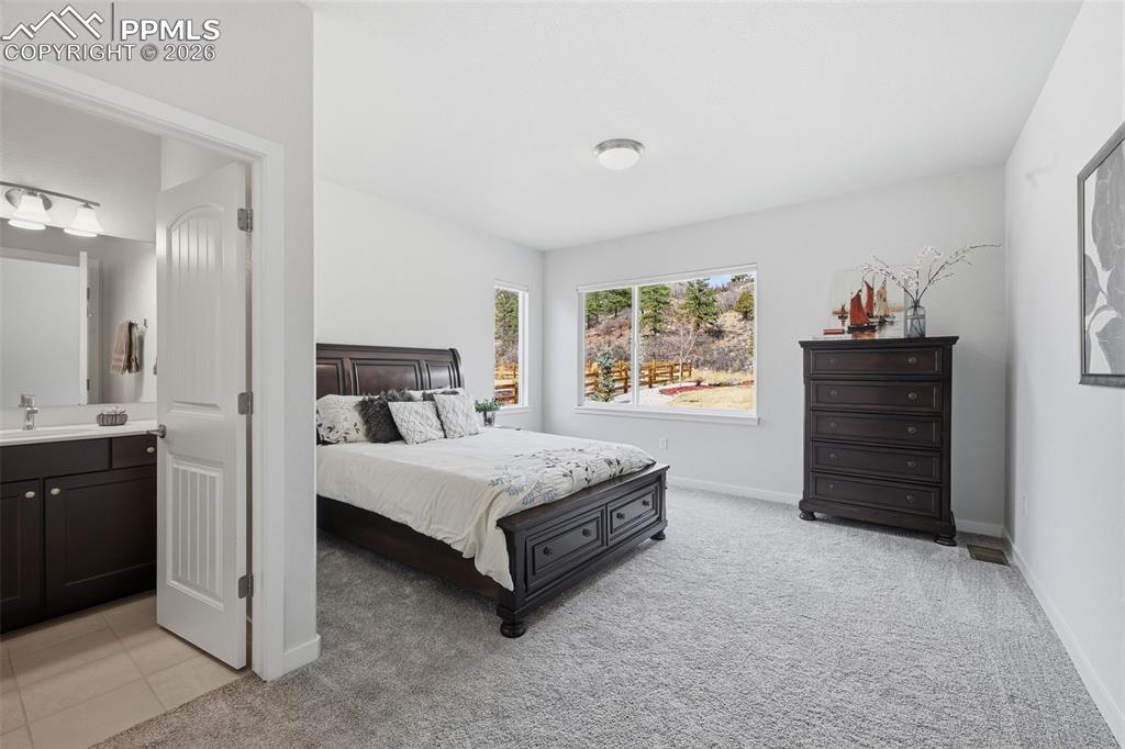 4206 Mesa Top Drive Monument CO 80132