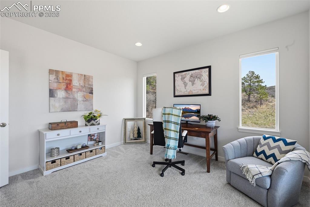 4206 Mesa Top Drive Monument CO 80132