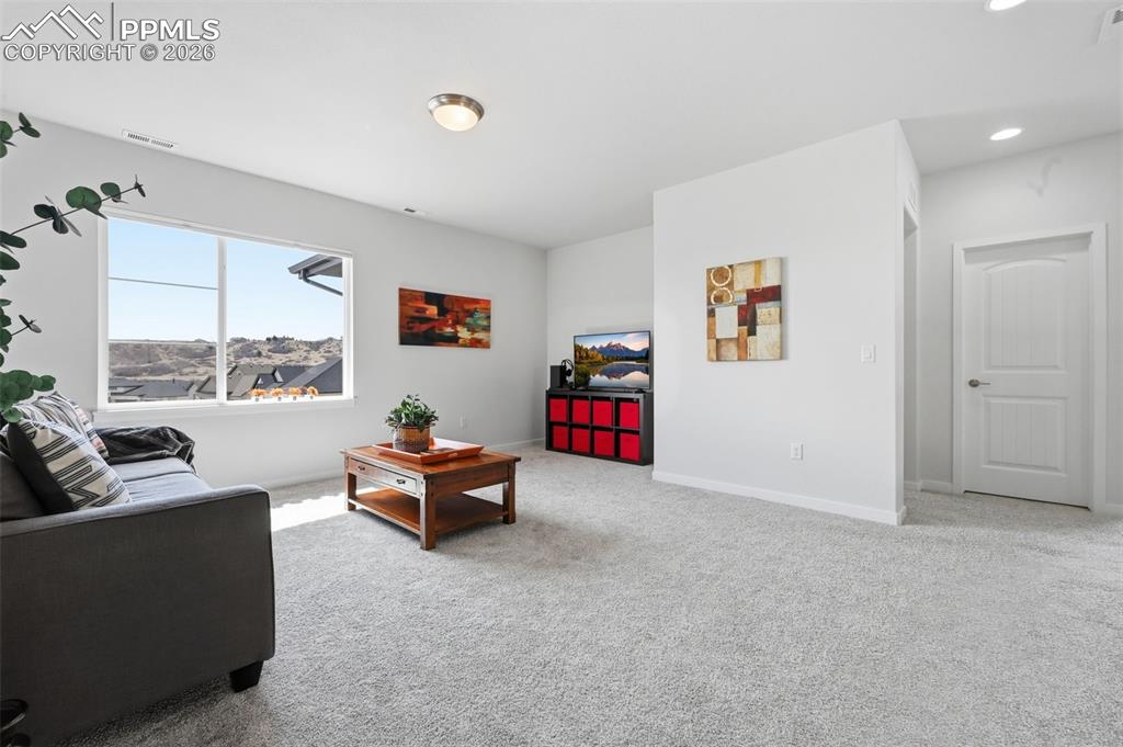 4206 Mesa Top Drive Monument CO 80132