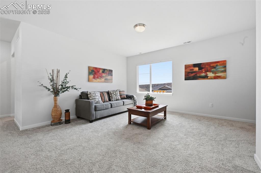4206 Mesa Top Drive Monument CO 80132