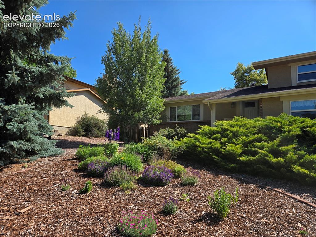 2565 Brady Drive Colorado Springs CO 80917