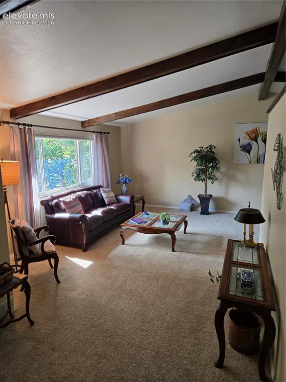 2565 Brady Drive Colorado Springs CO 80917