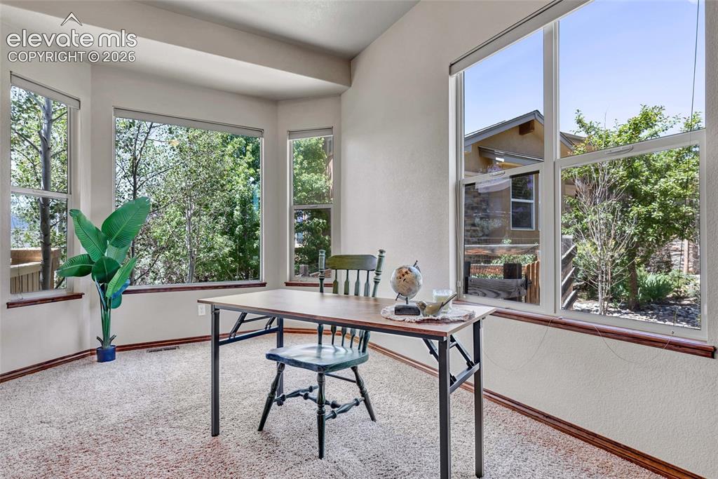 484 Pasada Way Monument CO 80132
