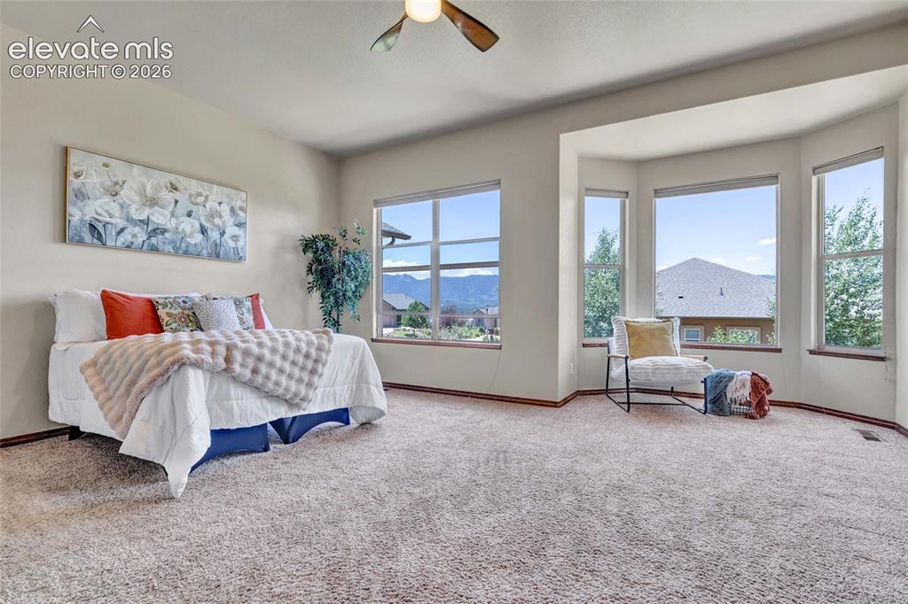 484 Pasada Way Monument CO 80132