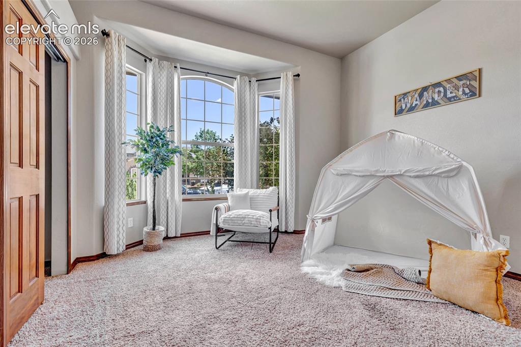 484 Pasada Way Monument CO 80132