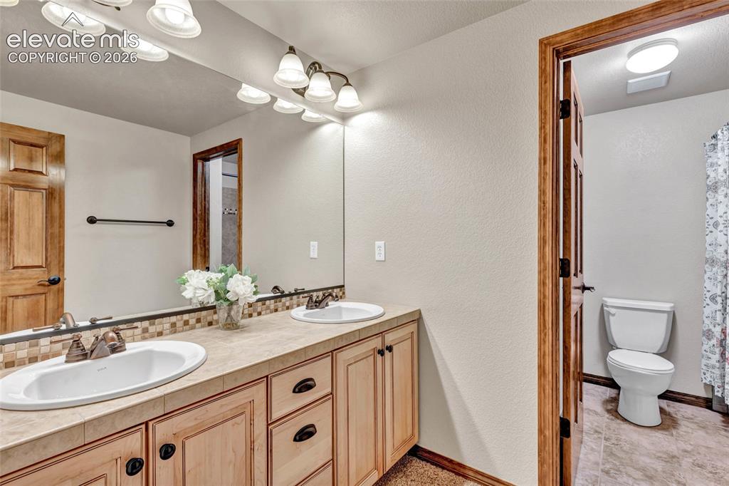 484 Pasada Way Monument CO 80132