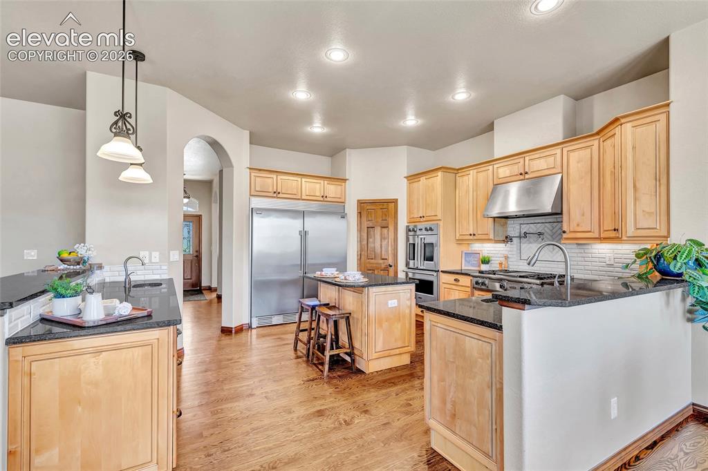 484 Pasada Way Monument CO 80132