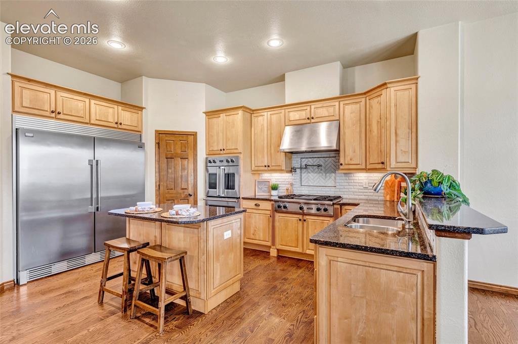 484 Pasada Way Monument CO 80132