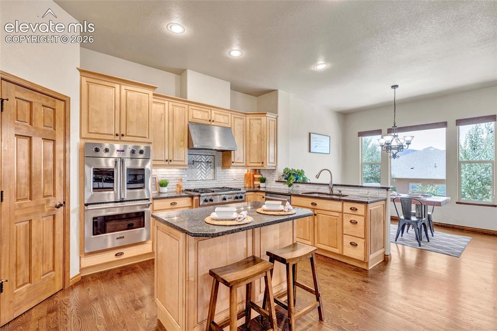 484 Pasada Way Monument CO 80132
