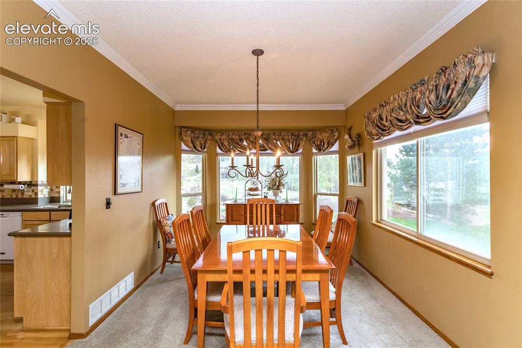 15235 Jessie Drive Colorado Springs CO 80921