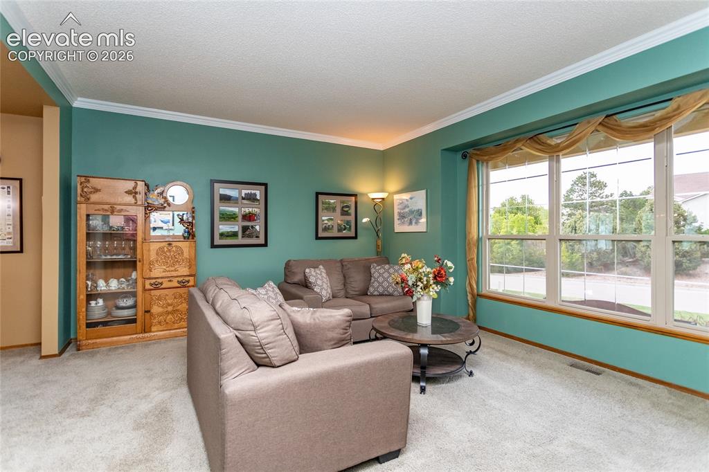 15235 Jessie Drive Colorado Springs CO 80921