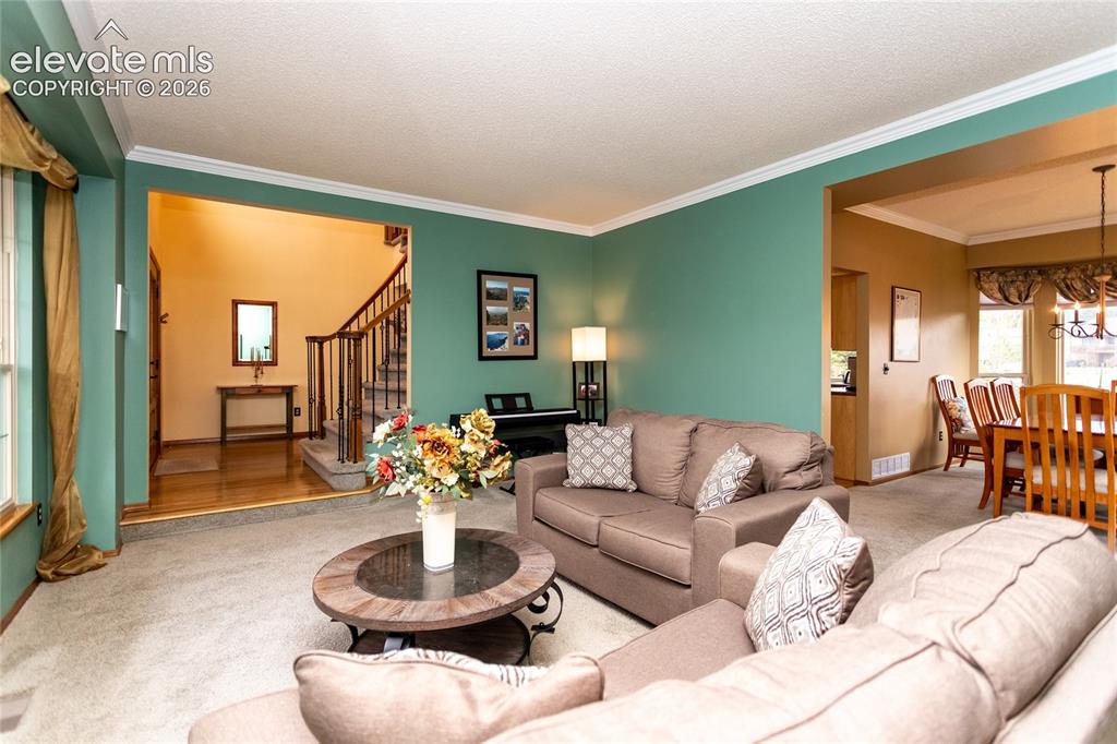15235 Jessie Drive Colorado Springs CO 80921