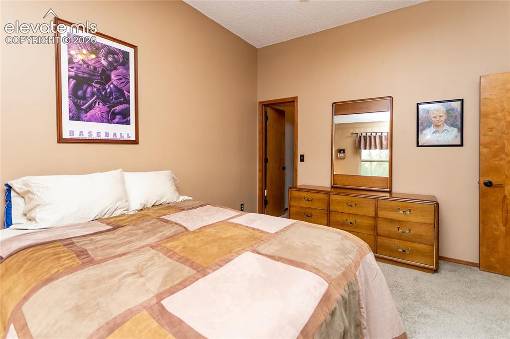 15235 Jessie Drive Colorado Springs CO 80921