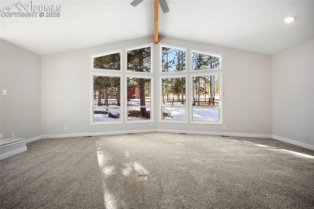 33 Stillforest Lane Woodland Park CO 80863