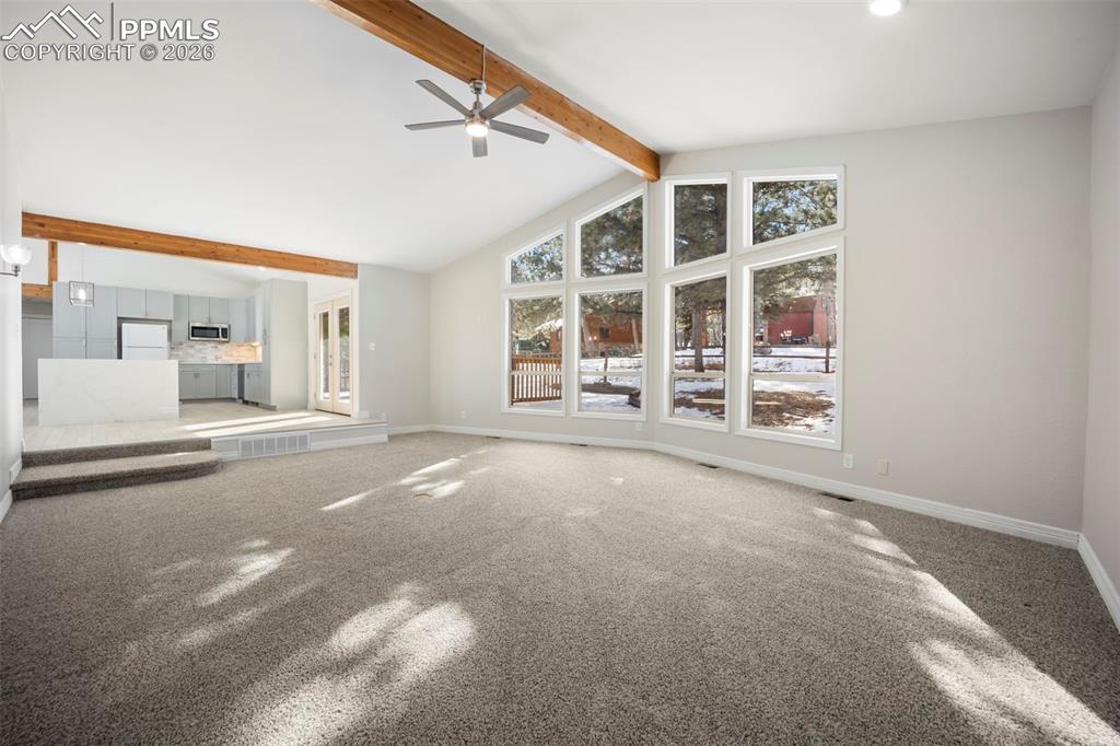 33 Stillforest Lane Woodland Park CO 80863