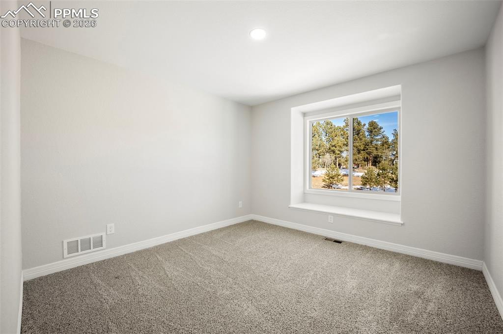 33 Stillforest Lane Woodland Park CO 80863