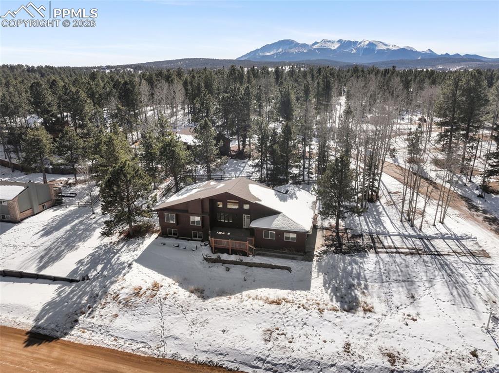 33 Stillforest Lane Woodland Park CO 80863