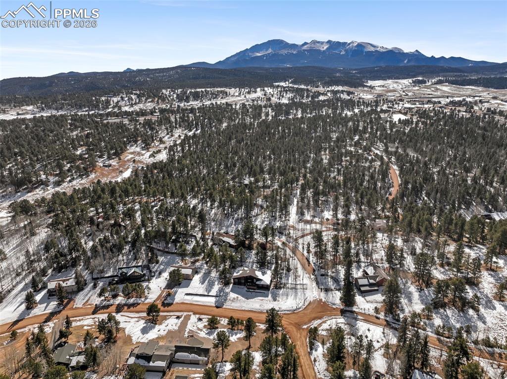33 Stillforest Lane Woodland Park CO 80863