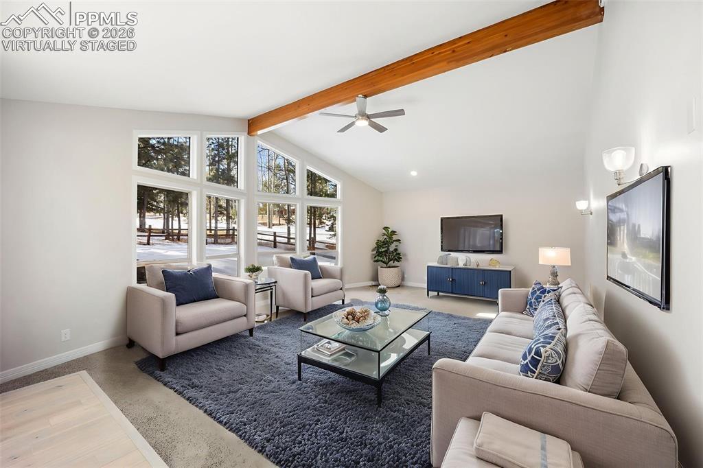 33 Stillforest Lane Woodland Park CO 80863