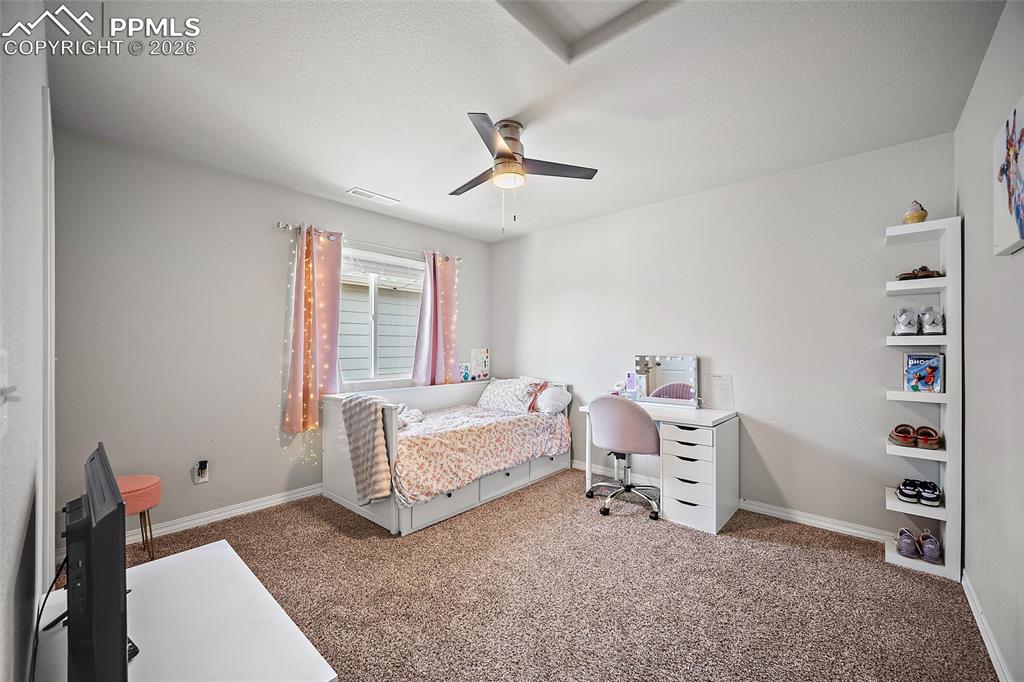11482 Moonrock Heights Peyton CO 80831