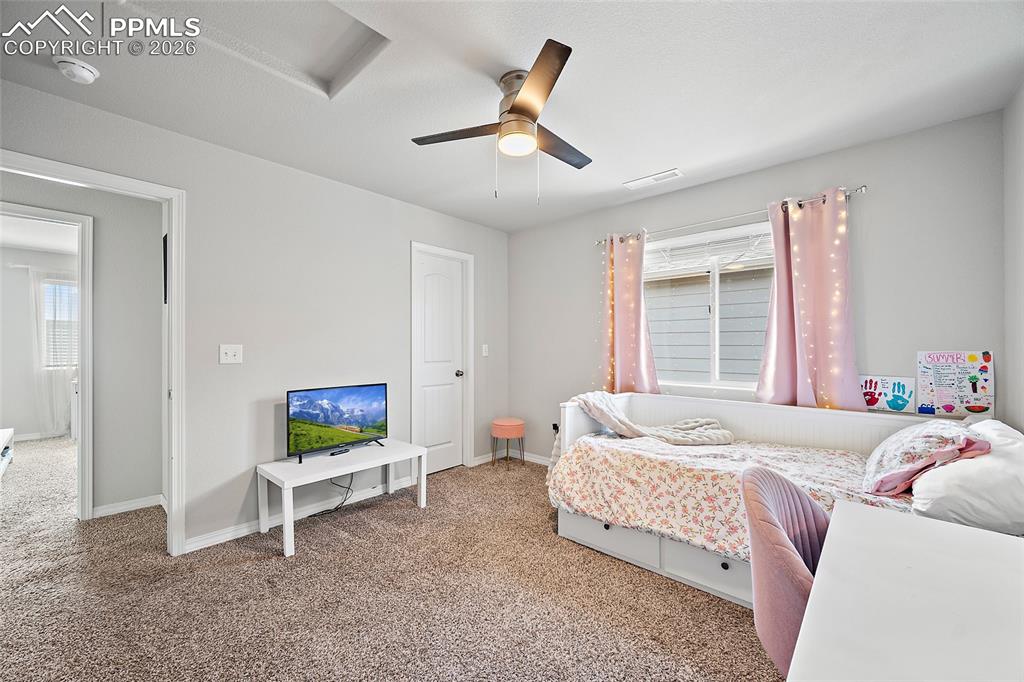 11482 Moonrock Heights Peyton CO 80831