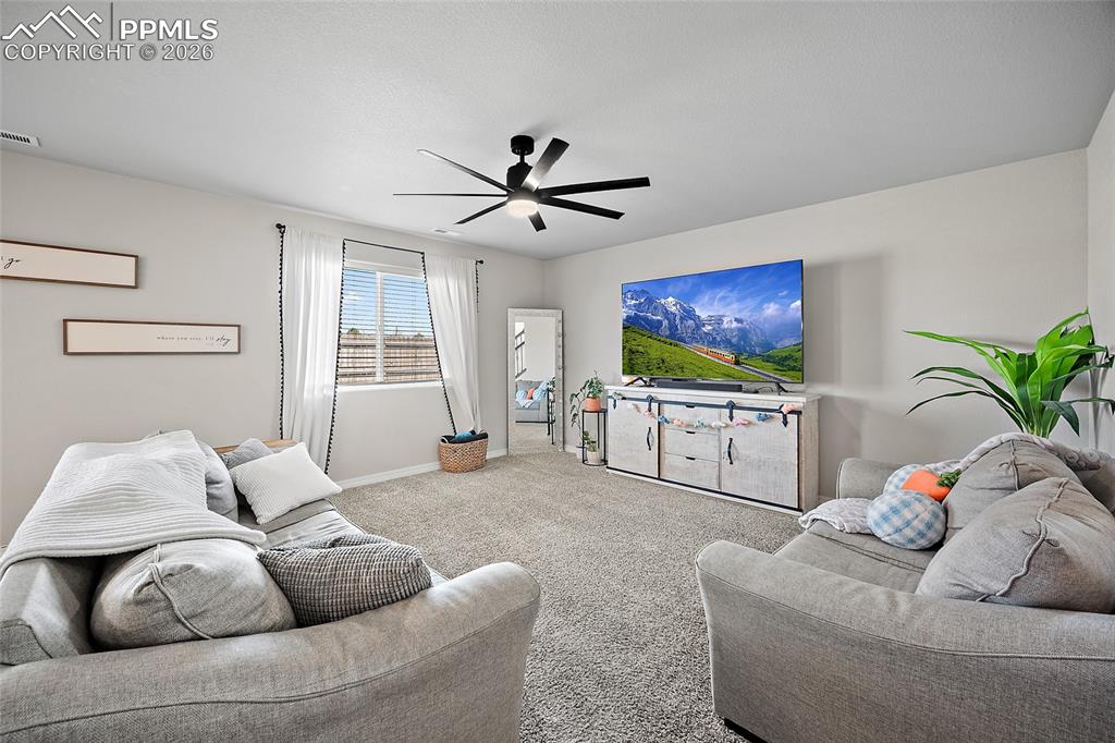 11482 Moonrock Heights Peyton CO 80831