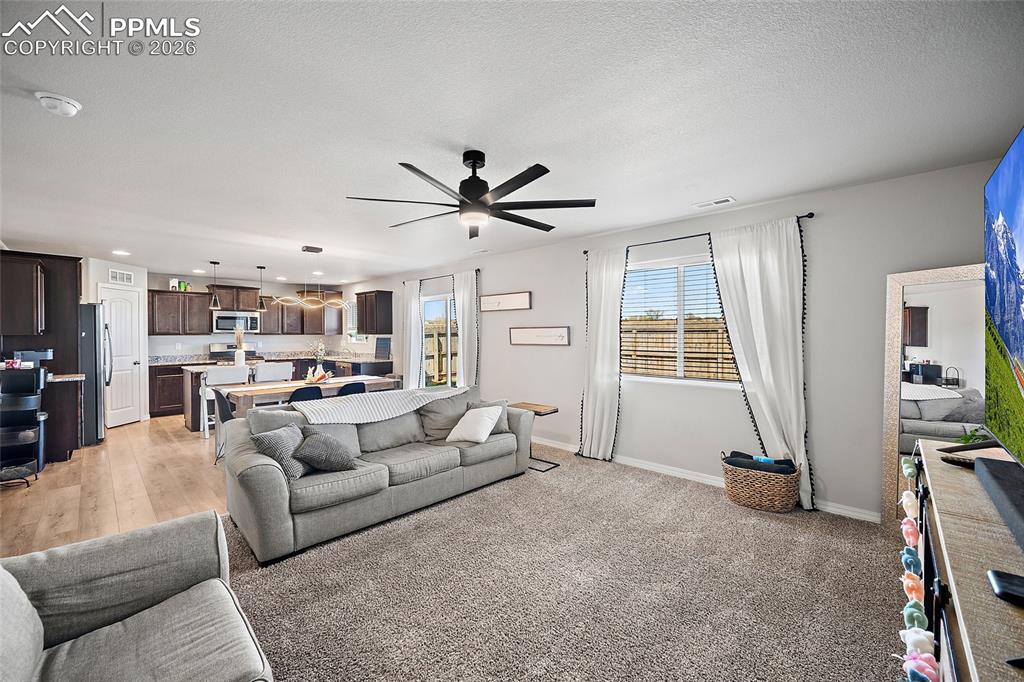 11482 Moonrock Heights Peyton CO 80831
