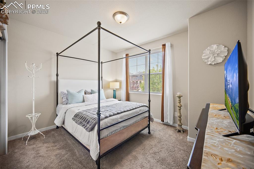 7095 Fauna Glen Drive Colorado Springs CO 80927