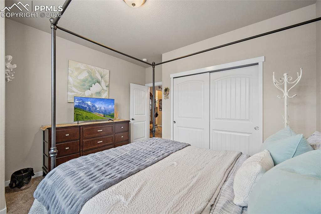 7095 Fauna Glen Drive Colorado Springs CO 80927
