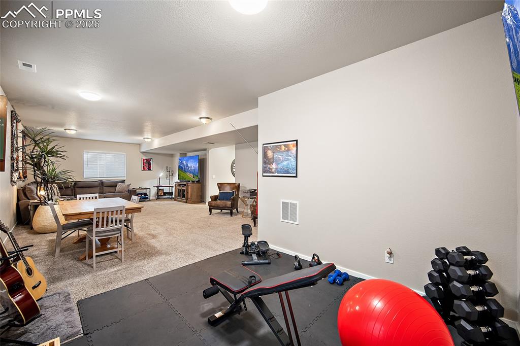 7095 Fauna Glen Drive Colorado Springs CO 80927