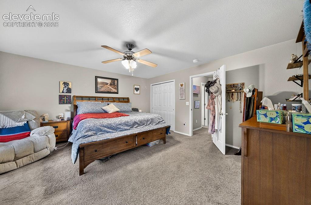 7534 Wrangler Ridge Drive Colorado Springs CO 80923