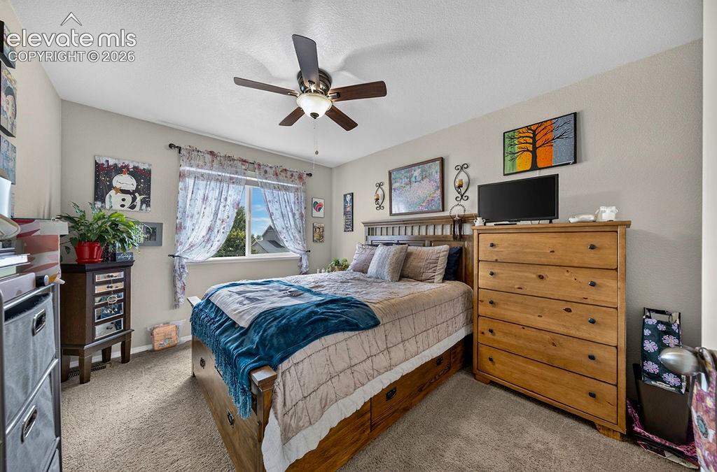 7534 Wrangler Ridge Drive Colorado Springs CO 80923