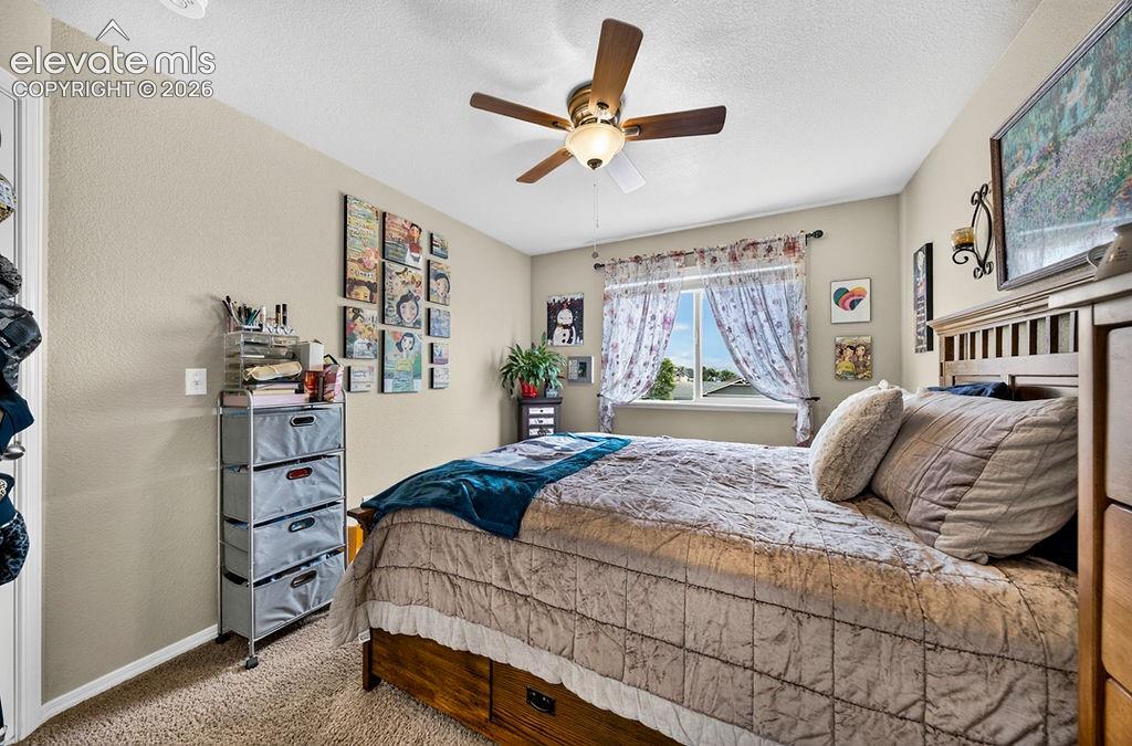 7534 Wrangler Ridge Drive Colorado Springs CO 80923