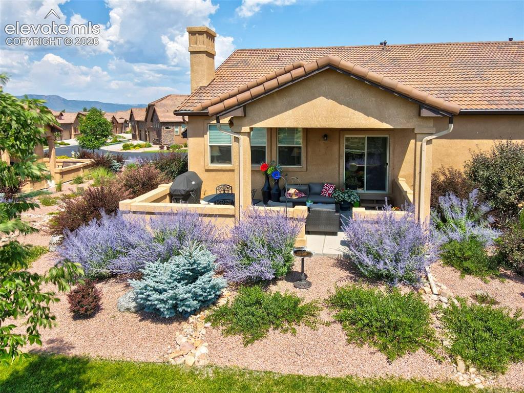 12994 Cupcake Heights Colorado Springs CO 80921