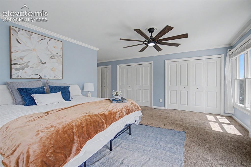 3850 Wolcott Place Colorado Springs CO 80906