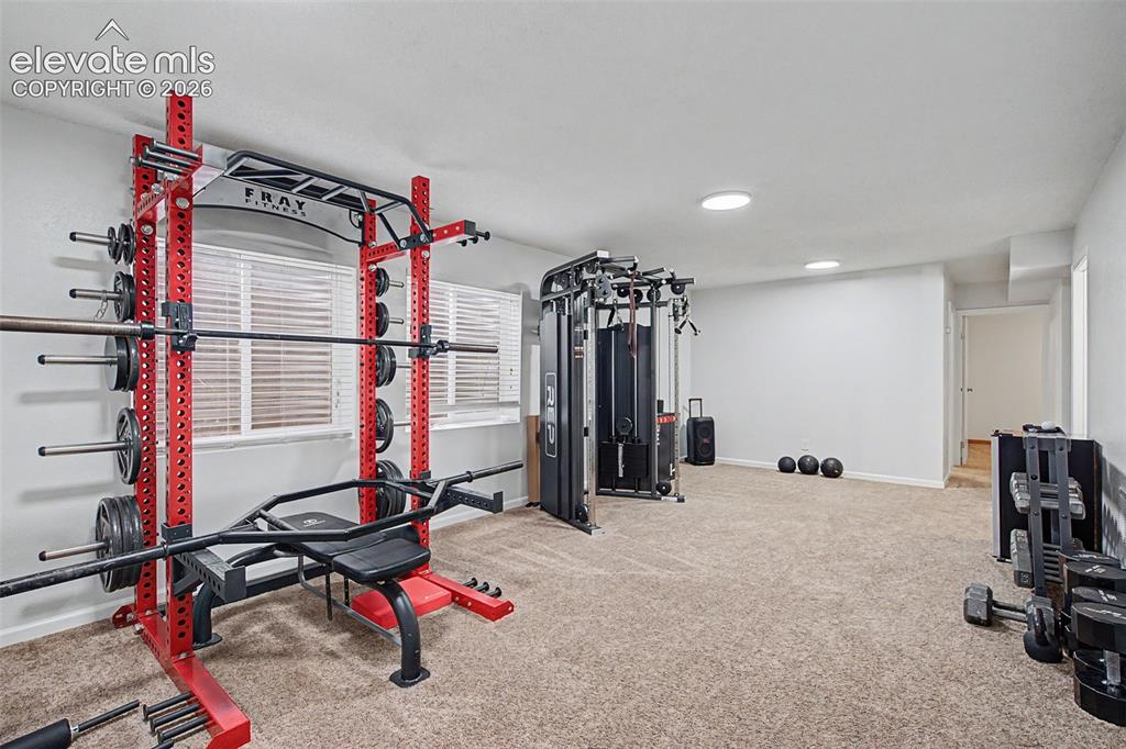 3850 Wolcott Place Colorado Springs CO 80906