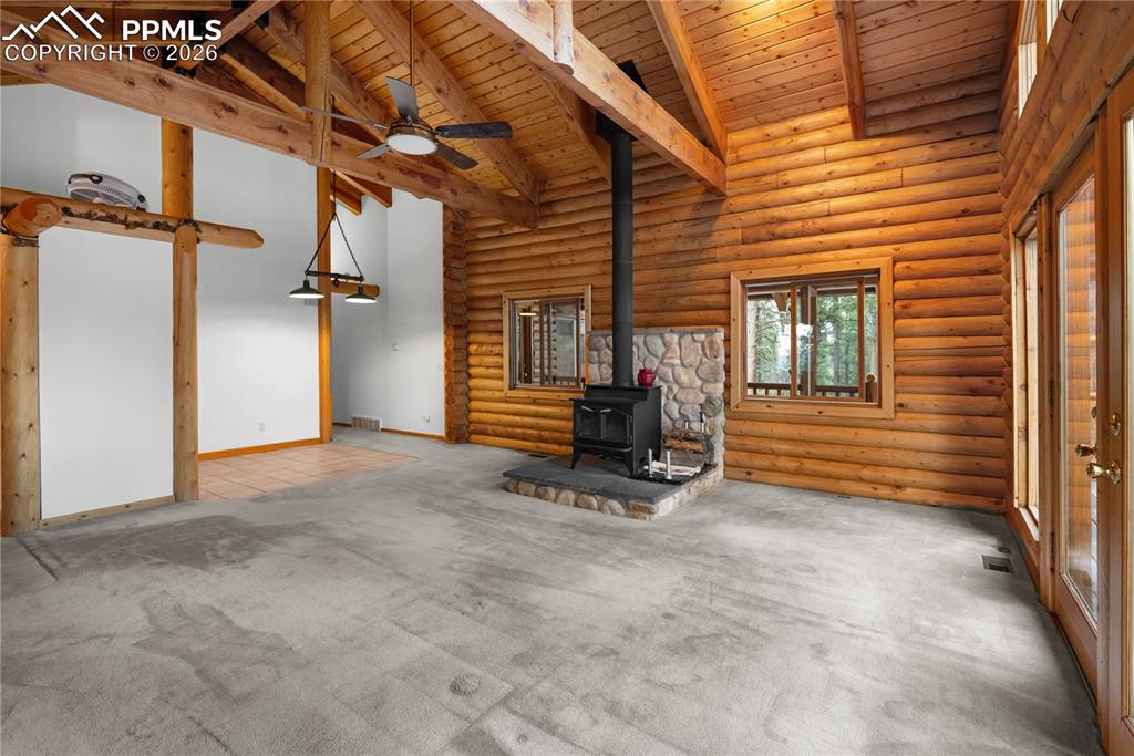 170 Druid Trail Florissant CO 80814